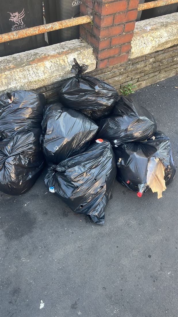Bagged household waste ready for collection